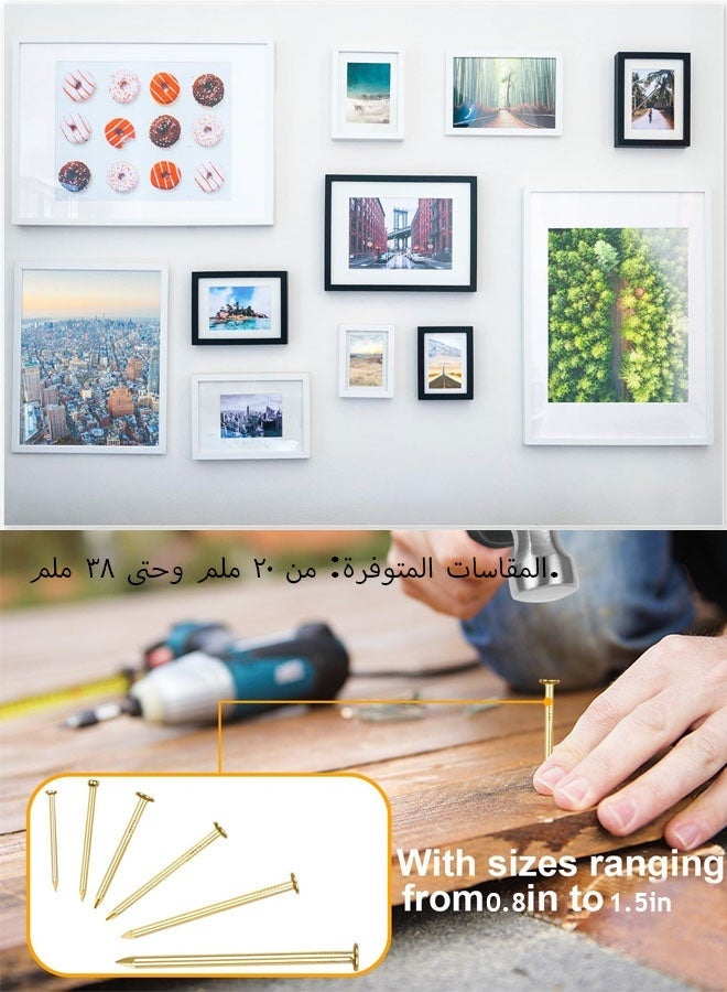 FAVZCBVIN Nail Assortment Kit, 200 Pcs Premium Picture Hanging Nails Assortment Kit, 4 Size Wall Hanging Set for Frame Art Photo, Long and Small Nails Gold Finishing Nails | For Wall Frames, Art, Mirrors & Home Decor - Image 5